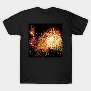 Firework No.83 T-Shirt